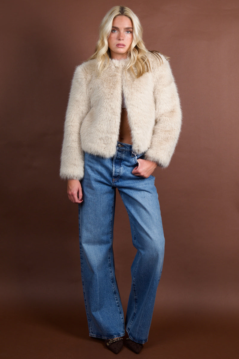 MOTHER | The Polar Opposite - Counter Culture