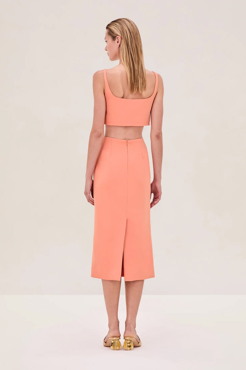ALEXIS | Pamila Skirt - Tangerine