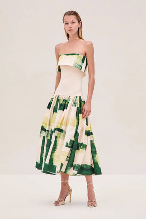 ALEXIS | Robia Dress - Green Brushstroke