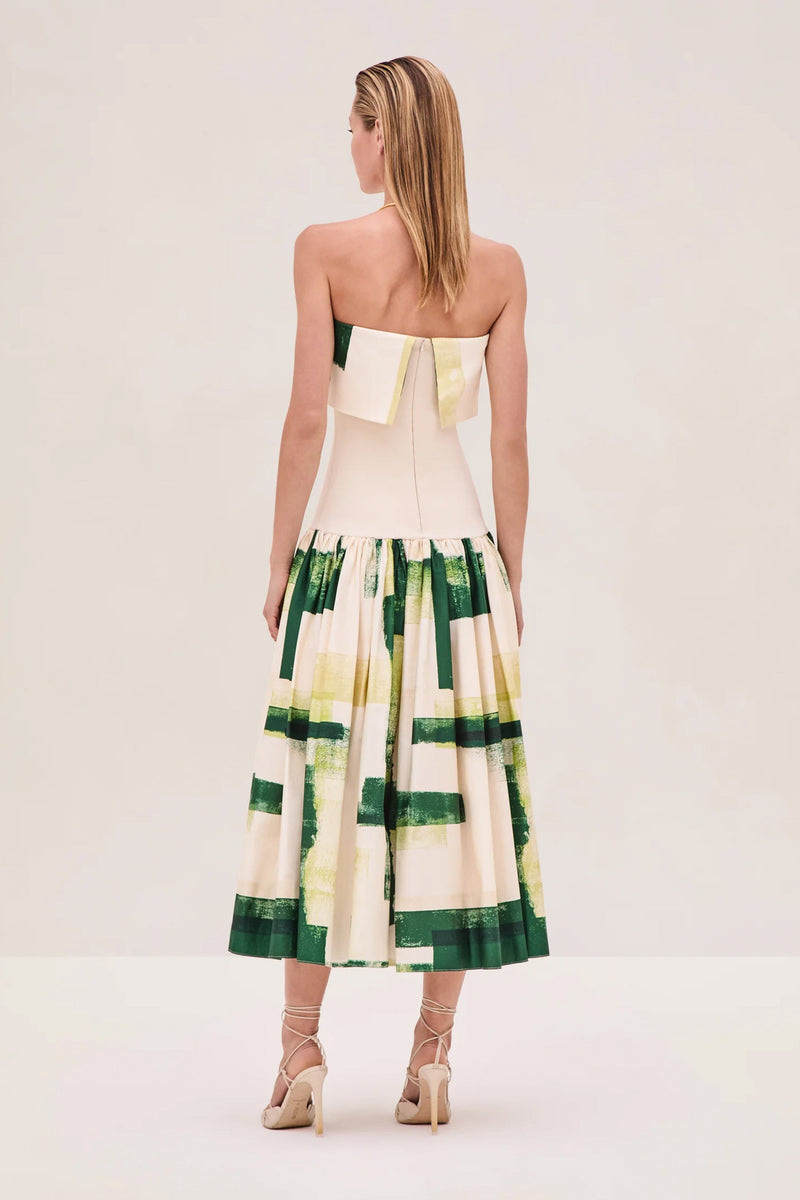 ALEXIS | Robia Dress - Green Brushstroke