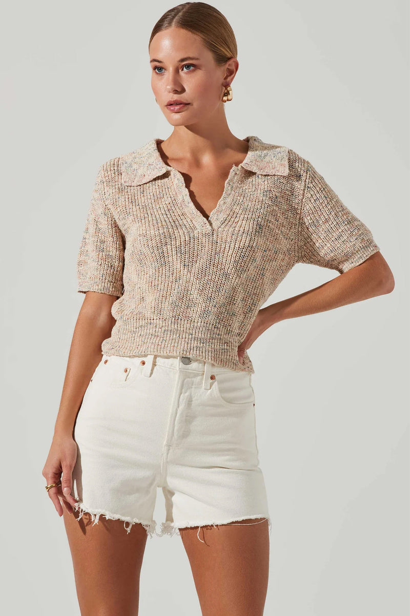 ASTR | The Cambria Sweater - Rainbow Speckle