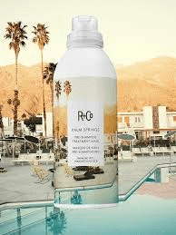 R+Co | Palm Springs Pre-Shampoo Treatment
